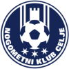 nk-celje-fan